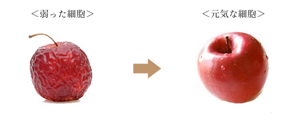 アコライム Acc Laim サロン デ モンターニュ